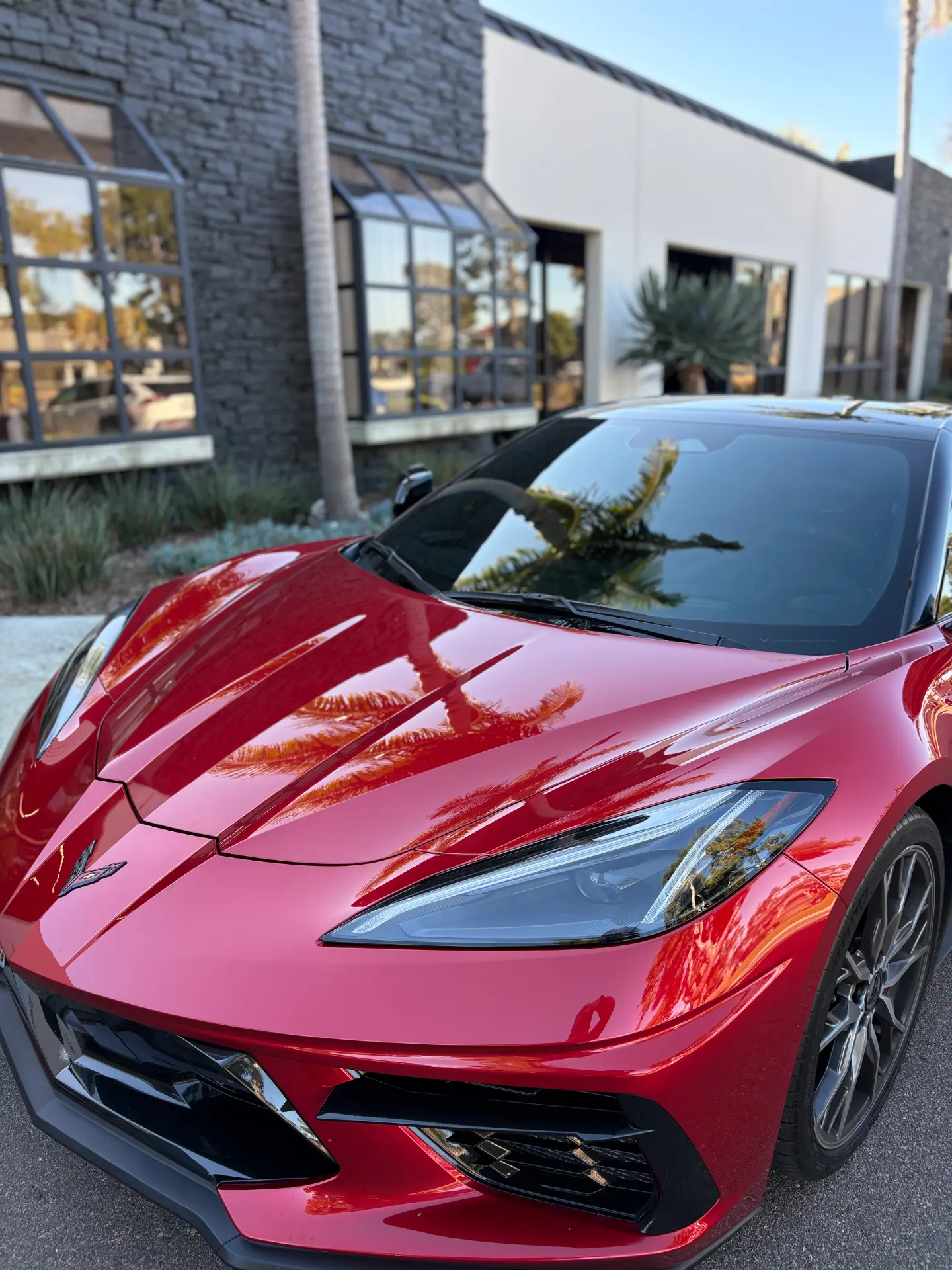 Close-up of a glossy red Corvette hood and headlight